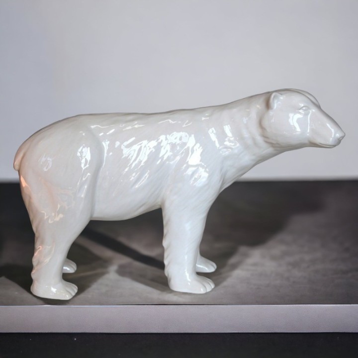 Ours polaire