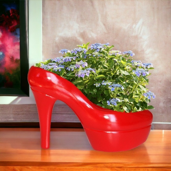 Scarpe decorative