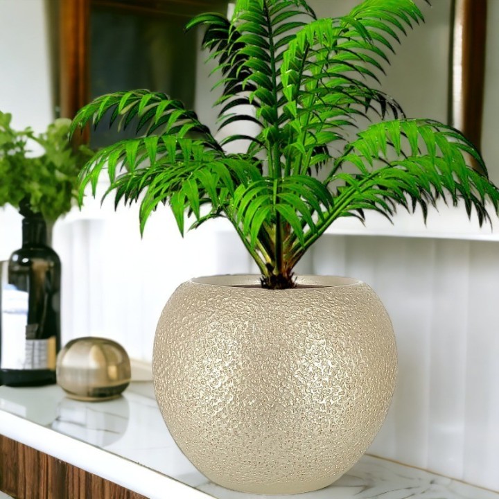Modern champagne Ceramic and large Plant Pot