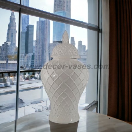 Vasi di zenzero decorativi in ceramica fine
