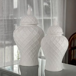 Vasi di zenzero decorativi in ceramica fine