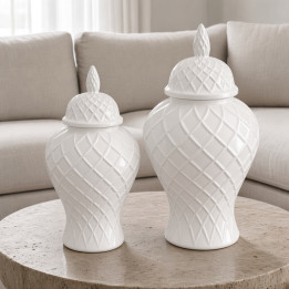 Vasi da zenzero in ceramica bianca vista frontale