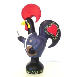 Gallo professore