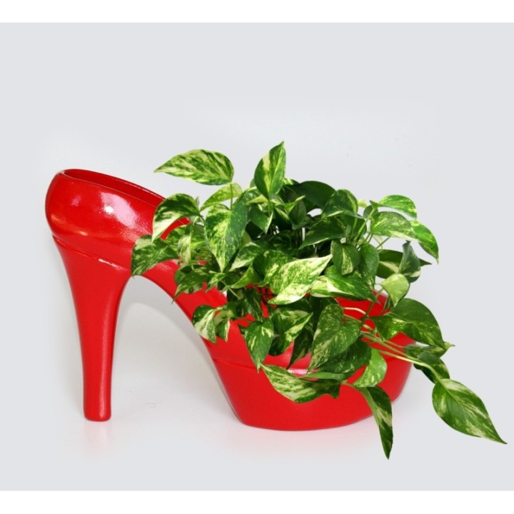 Decorative shoes