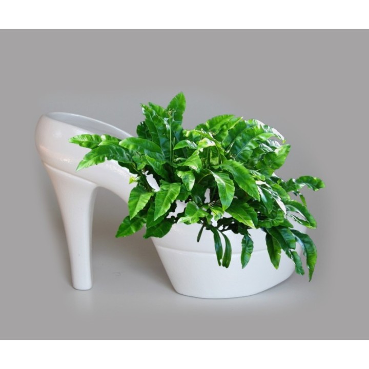 sapato decorativo